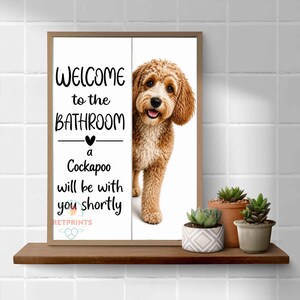 Cockapoo image 9
