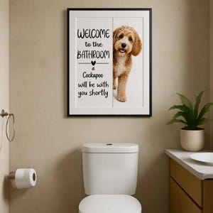 Cockapoo image 7