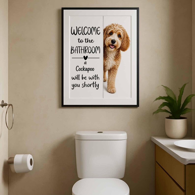 Cockapoo image 7