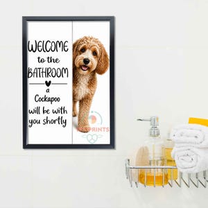 Cockapoo image 8