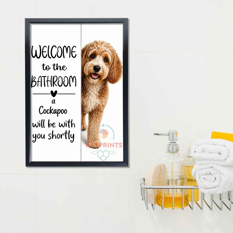 Cockapoo image 8