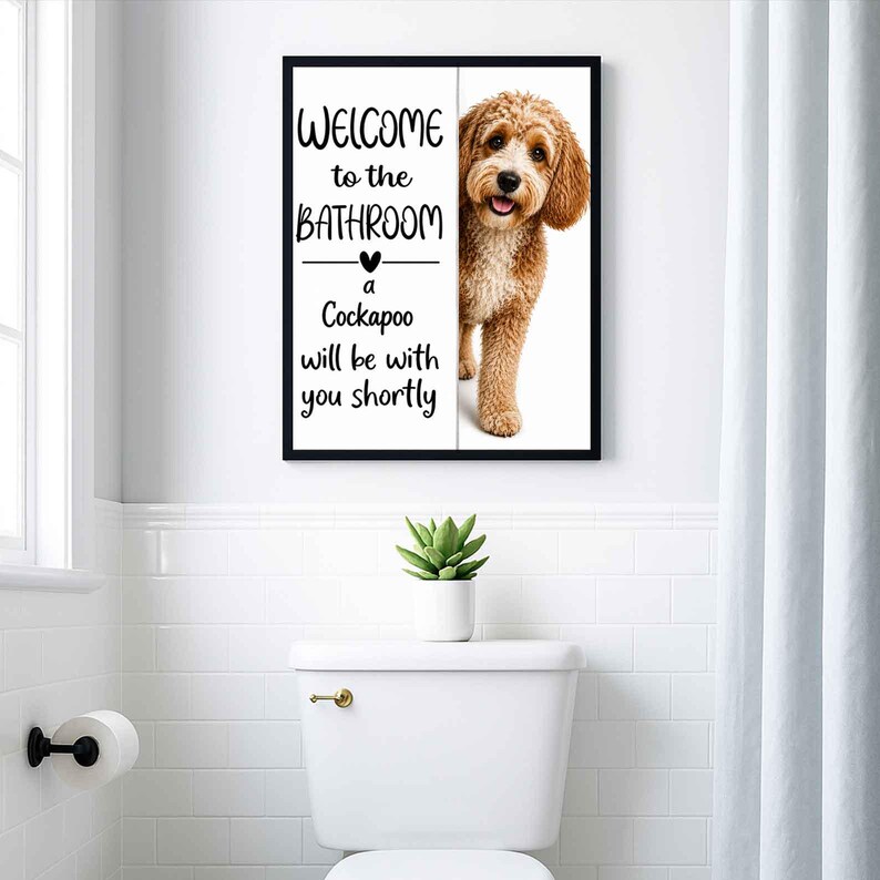 Cockapoo image 3