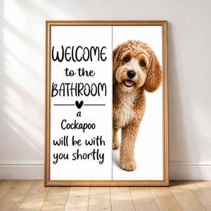 Cockapoo image 4