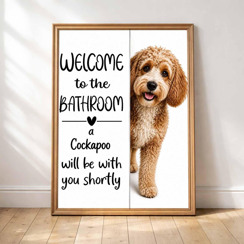 Cockapoo image 4
