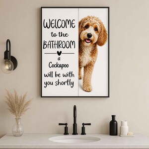Cockapoo image 2