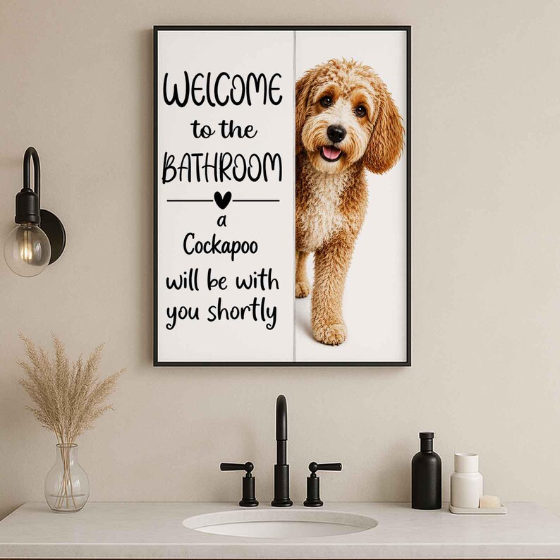 Cockapoo image 2