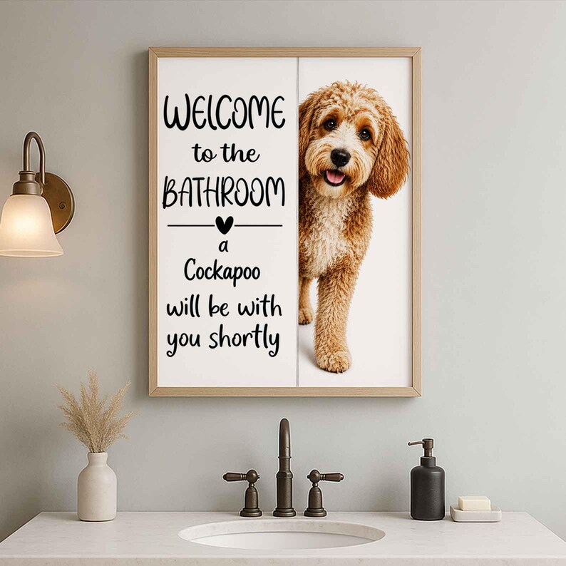 Cockapoo image 5