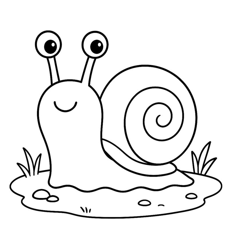 Slug Experiments Snail Drawing Easy - Etsy