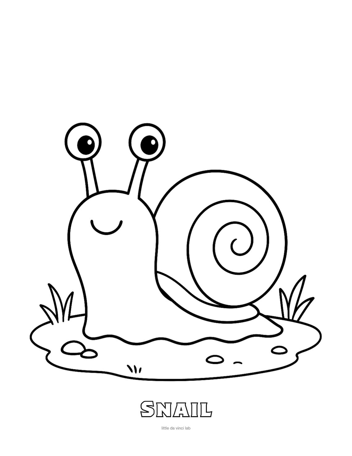 Snail Coloring Page • Kids Printable Coloring Sheet • Preschool ...