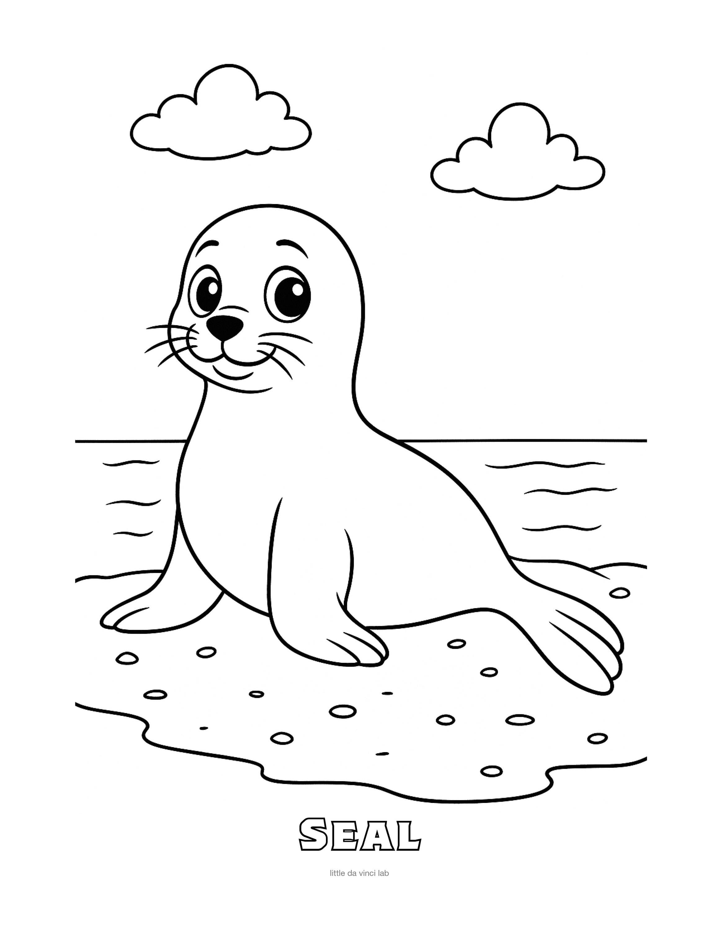 Seal Coloring Page • Kids Printable Coloring Sheet • Preschool ...