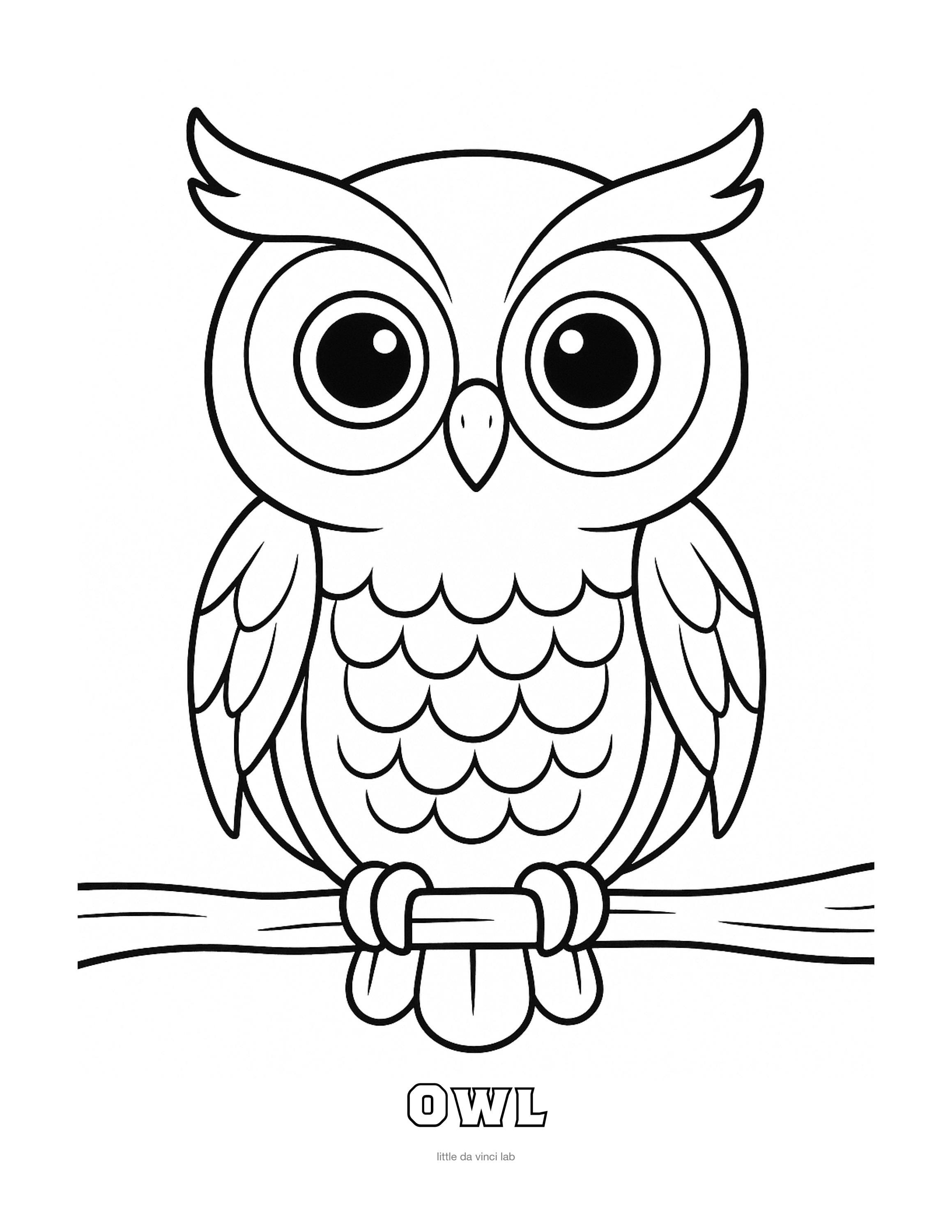 Owl Coloring Page • Kids Printable Coloring Sheet • Preschool & Kindergarten Activity