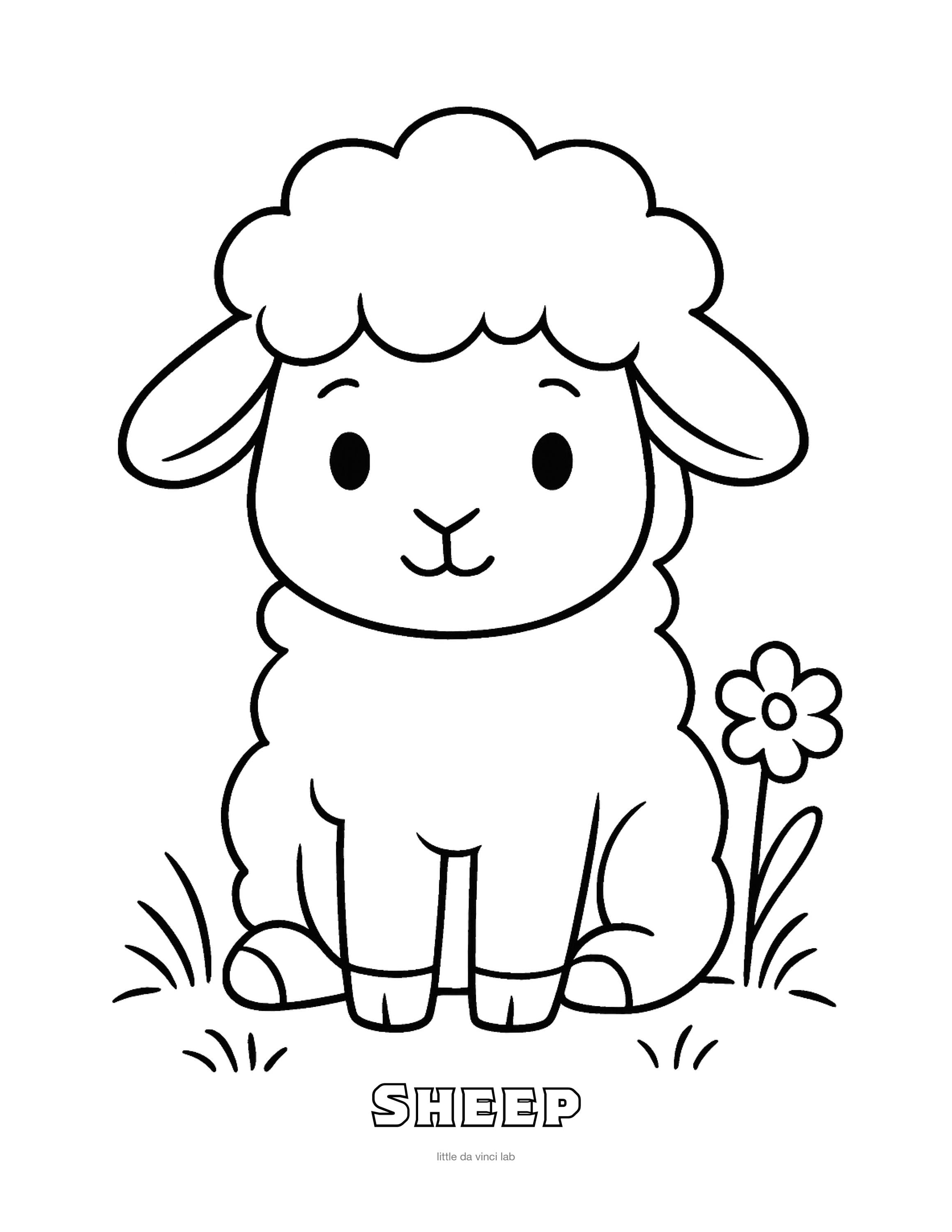 Sheep Coloring Page