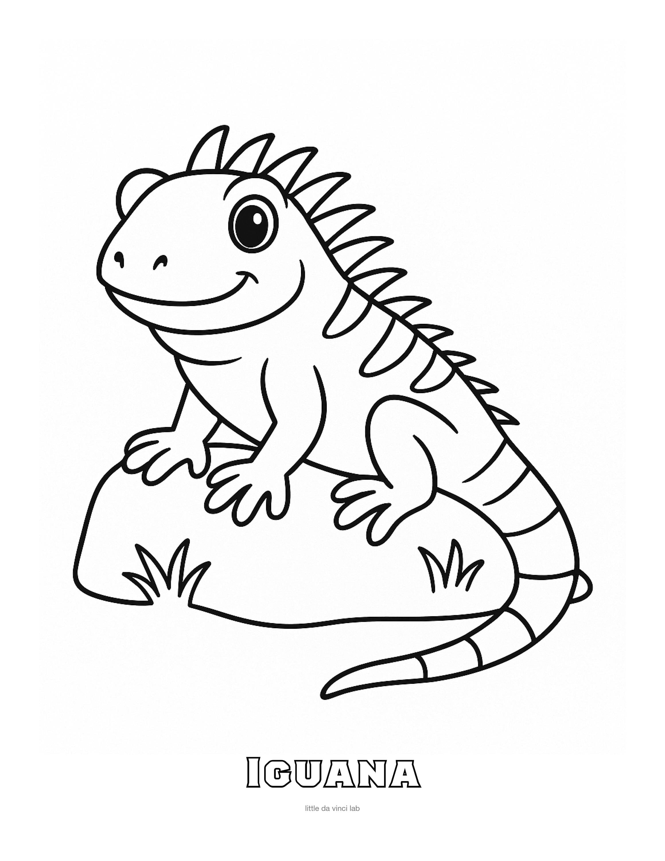 Iguana - Etsy 日本