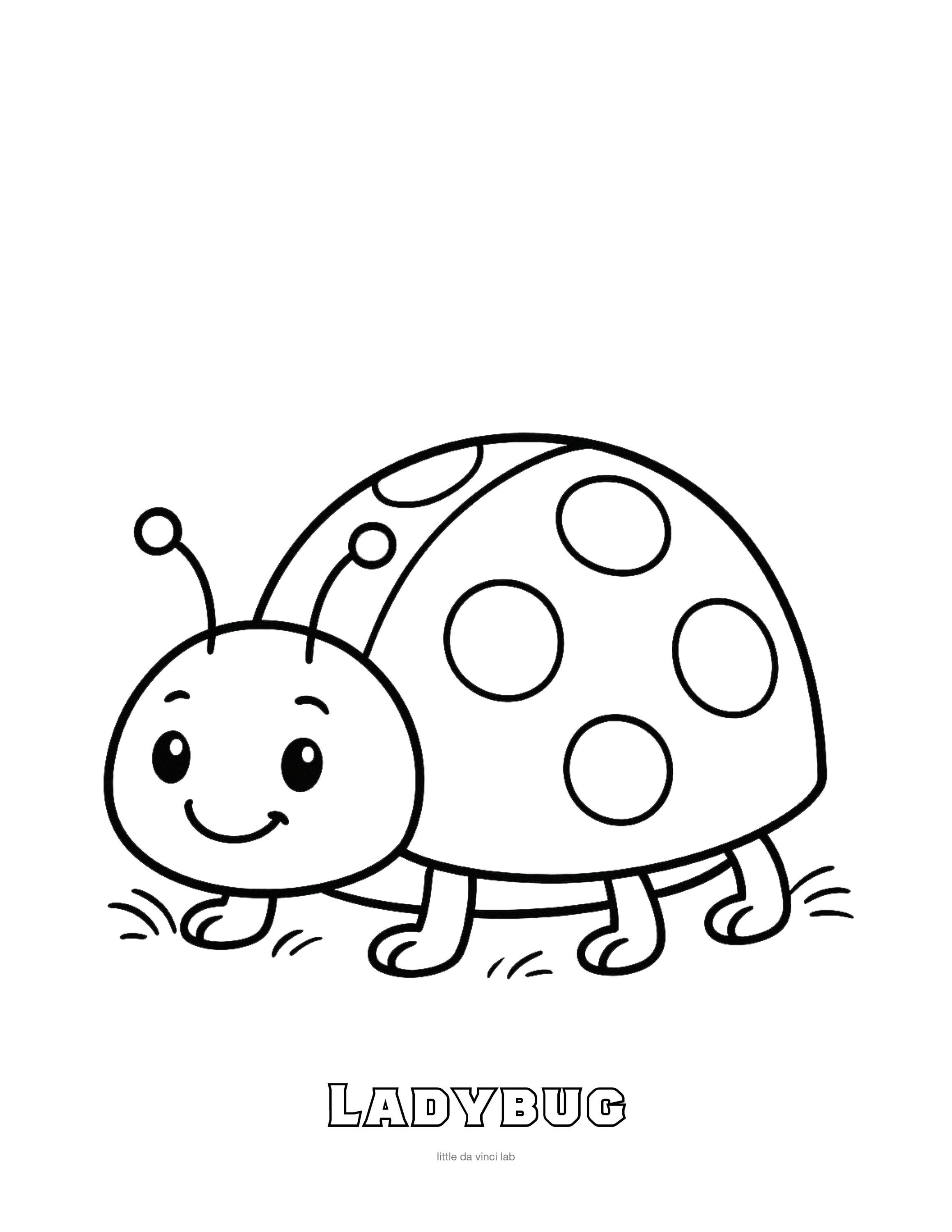 Ladybug Coloring Page • Kids Printable Coloring Sheet • Preschool ...