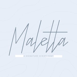 Chic Signature Font, Handwriting Font, Calligraphy Font, Modern Font, Professional Font, Signature Font, Font Download, Fonts