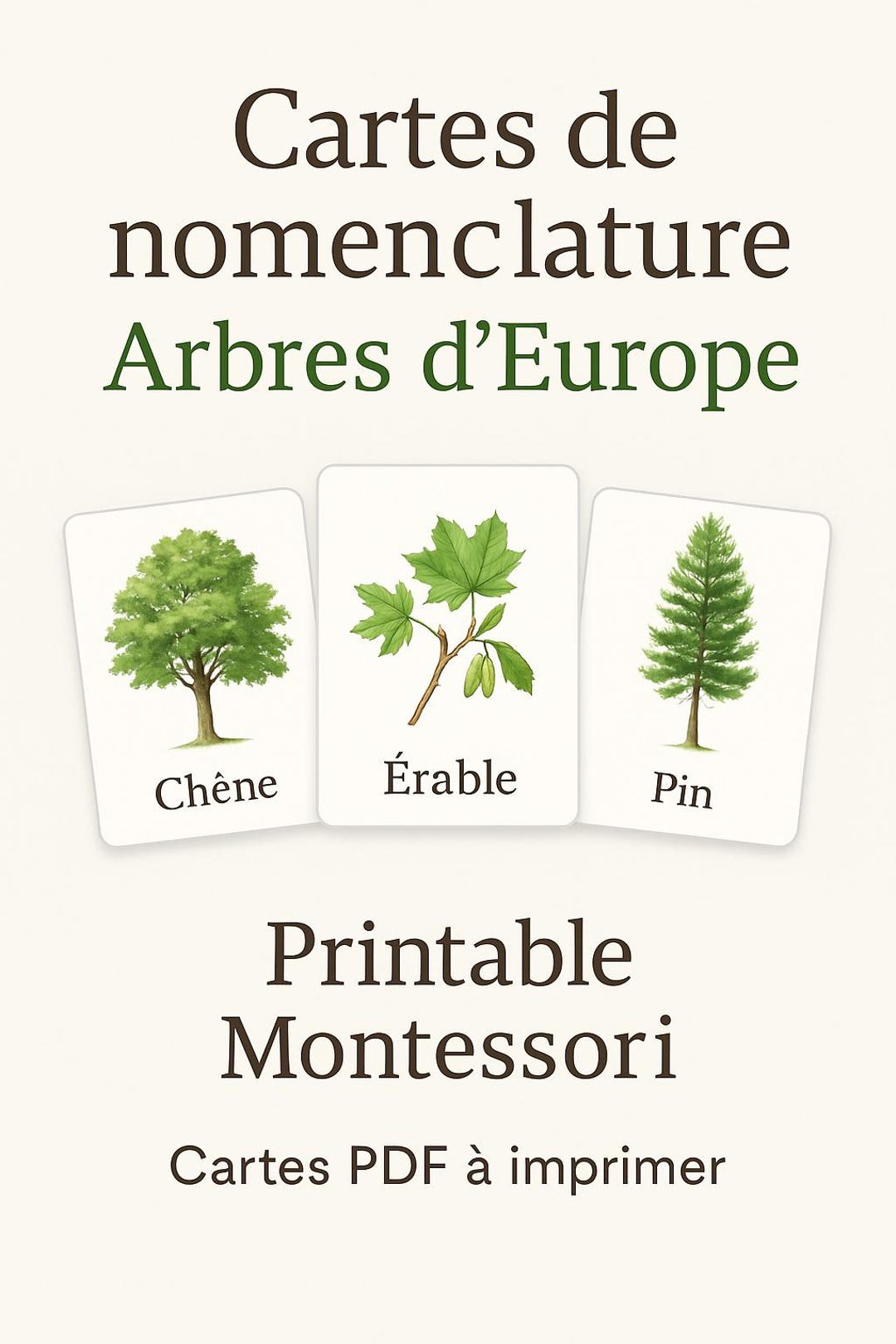 Arbres D’europe & Leurs Feuilles –cartes De Nomenclature Montessori ...