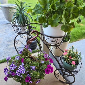 May include: A decorative, dark brown metal bicycle planter holding several potted plants with vibrant flowers and greenery. The bicycle has a basket in the front and a rear basket, each holding a different plant. The text "WoodokFinds" is visible at the bottom.