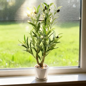 Puede incluir: Un olivo artificial en una maceta de cer&aacute;mica blanca. El &aacute;rbol tiene hojas verdes y peque&ntilde;as aceitunas negras. La maceta est&aacute; sobre un alf&eacute;izar blanco, con un c&eacute;sped verde visible a trav&eacute;s de la ventana.