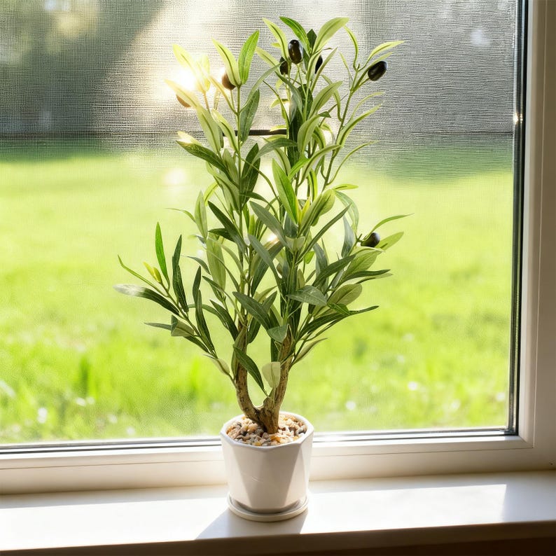 Puede incluir: Un olivo artificial en una maceta de cer&aacute;mica blanca. El &aacute;rbol tiene hojas verdes y peque&ntilde;as aceitunas negras. La maceta est&aacute; sobre un alf&eacute;izar blanco, con un c&eacute;sped verde visible a trav&eacute;s de la ventana.