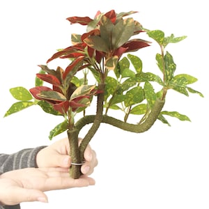 以下が含まれることがあります： 赤、緑、黄色の葉を持つ人工植物。植物は茶色の茎を持ち、人が持っています。葉には斑点模様があります。植物は装飾品です。