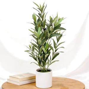 May include: An artificial olive tree in a white ceramic pot. The tree features green leaves and some black olives. The pot is on a wooden table, next to two books. The background is a white curtain.