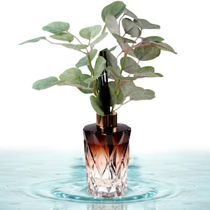 Puede incluir: Un difusor decorativo de vidrio con un diseño geométrico, lleno de un líquido oscuro y rematado con un collar dorado y cañas negras. La botella está adornada con hojas de eucalipto verdes y grises, creando una estética natural.