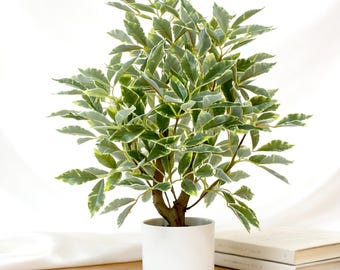 Ficus artificial en maceta, decoración para el hogar con vegetación realista (40 cm)