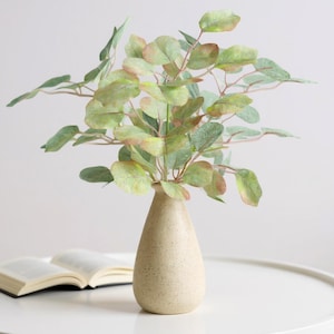 Könnte beinhalten: Eine beige Keramikvase mit Eukalyptuszweigen und grün-rotbraunen Blättern. Die Vase steht auf einer weißen Oberfläche, im Hintergrund ein offenes Buch.