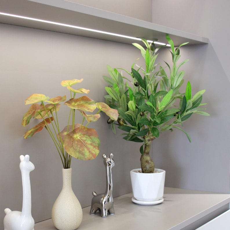 May include: A decorative shelf arrangement featuring a small olive tree in a white pot, a vase with leafy stems, and two giraffe figurines. The olive tree has green leaves and small black olives. The figurines are white and silver.