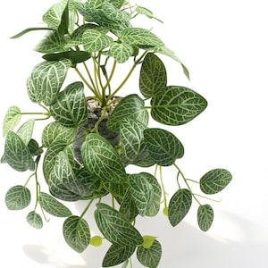 Small Artificial Fake Plants in Ceramic Pot, Indoor Fake Potted Greenery Faux Vine