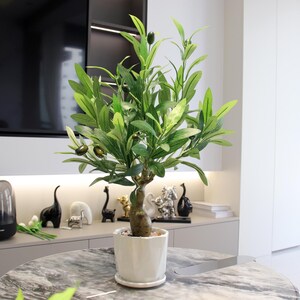 May include: A faux olive tree in a white ceramic pot. The tree has green leaves and small, dark green olives. The pot sits on a marble-patterned table. The tree is a decorative item for home decor.