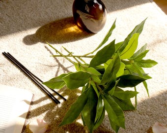 Parfumvaas: verzendkosten betalen