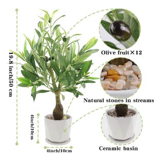May include: Artificial olive tree in a white ceramic pot, 19.8 inches tall. The tree features green leaves and 12 olive fruits. The pot is 4 inches wide and contains natural stones. A decorative plant for home decor.