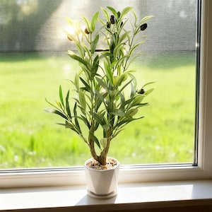 以下が含まれることがあります： 白いセラミックの鉢に入った人工のオリーブの木。窓辺に置かれています。木には緑の葉と黒いオリーブのような実がついています。鉢には、小さな明るい色の小石が詰められています。背景には緑の芝生と窓が写っています。