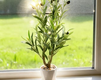 rhododendron hagebaumarkt Rhododendron 'PJM Landmark' main image 0
