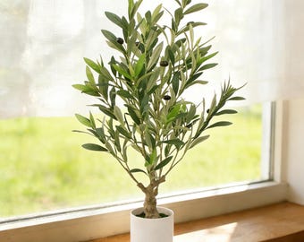 Olivo artificial en maceta, ideal para escritorio, oficina, dormitorio, baño y sala de estar.