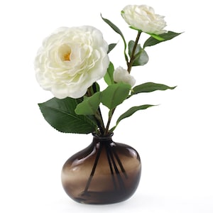 Può includere: Una composizione decorativa con fiori di camelia bianchi e foglie verdi in un vaso di vetro marrone. Il vaso ha una forma arrotondata e un colore sfumato. I fiori hanno petali multipli e un centro giallo.