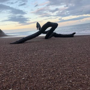May include: A piece of dark driftwood lies on a sandy beach. The wood is a dark, almost black colour, with a twisted and weathered appearance. The beach is a mix of brown and tan sand, with the ocean and a cloudy sky in the background.