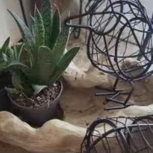 Puede incluir: Arreglo decorativo con dos suculentas en macetas en una maceta de forma org&aacute;nica de color marr&oacute;n claro. Dos esculturas de p&aacute;jaros de alambre negro est&aacute;n colocadas cerca de las plantas.