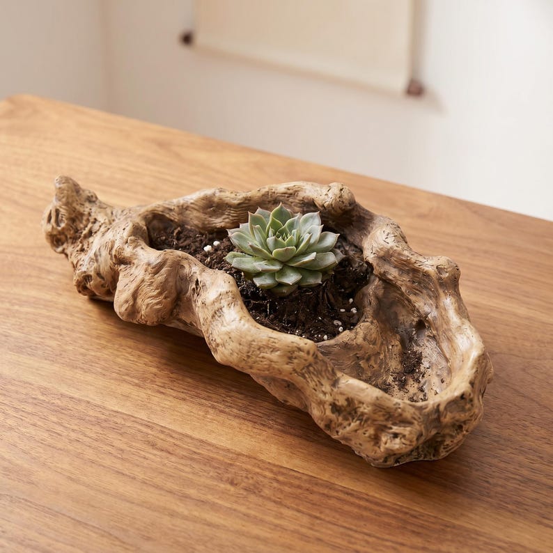 Puede incluir: Un macetero r&uacute;stico de madera con forma de tronco de &aacute;rbol, que contiene una peque&ntilde;a planta suculenta. El macetero es de color marr&oacute;n claro y tiene una superficie texturizada. La suculenta es verde y tiene forma de roseta, plantada en tierra.
