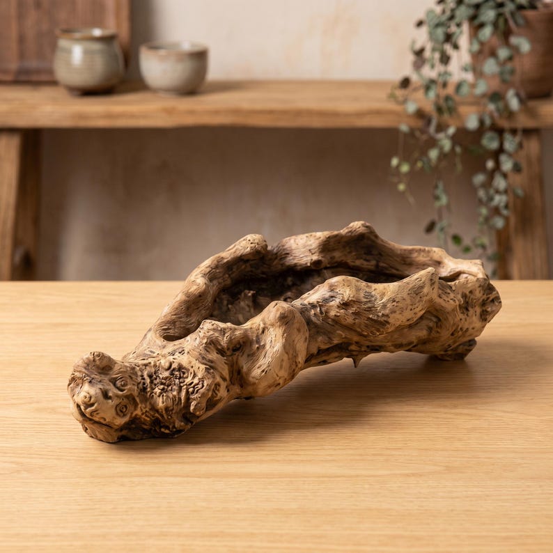 Puede incluir: Un cuenco de madera de color marr&oacute;n claro con una forma natural y org&aacute;nica, que se asemeja a la madera flotante. El cuenco tiene una superficie texturizada y est&aacute; sobre una mesa de madera. Otros objetos decorativos son visibles en el fondo.