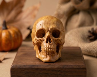 May include: A detailed wooden skull sculpture with visible teeth and eye sockets, resting on a dark brown wooden base. The skull is a light brown color. The background includes a small pumpkin and autumn leaves.