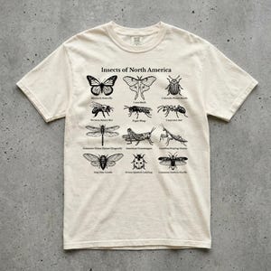 Insects of North America Graphic T-Shirt, Vintage Field Guide Bug Tee, Comfort Colors Unisex