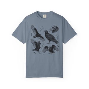 Blue jean Comfort Colors t-shirt with a vintage engraved illustration of five vultures including one soaring with wings outstretched, one standing with wings half-spread, a close-up portrait showing bare head and hooked beak, one landing with wings fanned, and one spreading wings low in a dominance display, surrounded by bare winter branches and scattered feathers in an antique wildlife field guide etching style.