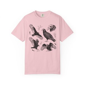 Light pink Comfort Colors t-shirt with a vintage engraved illustration of five vultures including one soaring with wings outstretched, one standing with wings half-spread, a close-up portrait showing bare head and hooked beak, one landing with wings fanned, and one spreading wings low in a dominance display, surrounded by bare winter branches and scattered feathers in an antique wildlife field guide etching style.