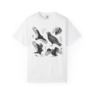 White Comfort Colors t-shirt with a vintage engraved illustration of five vultures including one soaring with wings outstretched, one standing with wings half-spread, a close-up portrait showing bare head and hooked beak, one landing with wings fanned, and one spreading wings low in a dominance display, surrounded by bare winter branches and scattered feathers in an antique wildlife field guide etching style.