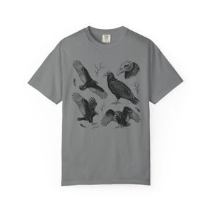Grey Comfort Colors t-shirt with a vintage engraved illustration of five vultures including one soaring with wings outstretched, one standing with wings half-spread, a close-up portrait showing bare head and hooked beak, one landing with wings fanned, and one spreading wings low in a dominance display, surrounded by bare winter branches and scattered feathers in an antique wildlife field guide etching style.