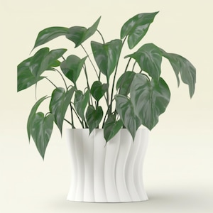 Könnte beinhalten: Eine üppige grüne Pflanze mit großen, herzförmigen Blättern in einem weißen, modern gestalteten Pflanzgefäß. Der Pflanztopf hat ein einzigartiges, geschwungenes Design. Die dunkelgrünen Blätter bilden einen Kontrast zum hellen Weiß des Topfes.