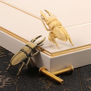 May include: Two brass-coloured cabinet pulls shaped like beetles, with detailed legs and antennae. The pulls are positioned on a white cabinet door, with two matching screws nearby. The beetle design adds a unique touch to furniture.
