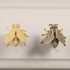 Könnte beinhalten: Zwei dekorative Möbelknöpfe in Bienenform. Einer ist goldfarben, der andere bronzefarben. Die Metallknöpfe haben detaillierte Flügel- und Körperdesigns. Geeignet für Möbel oder Heimdekoration.